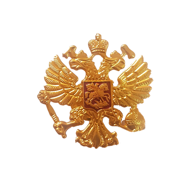 Pin Escudo de Rusia, chico